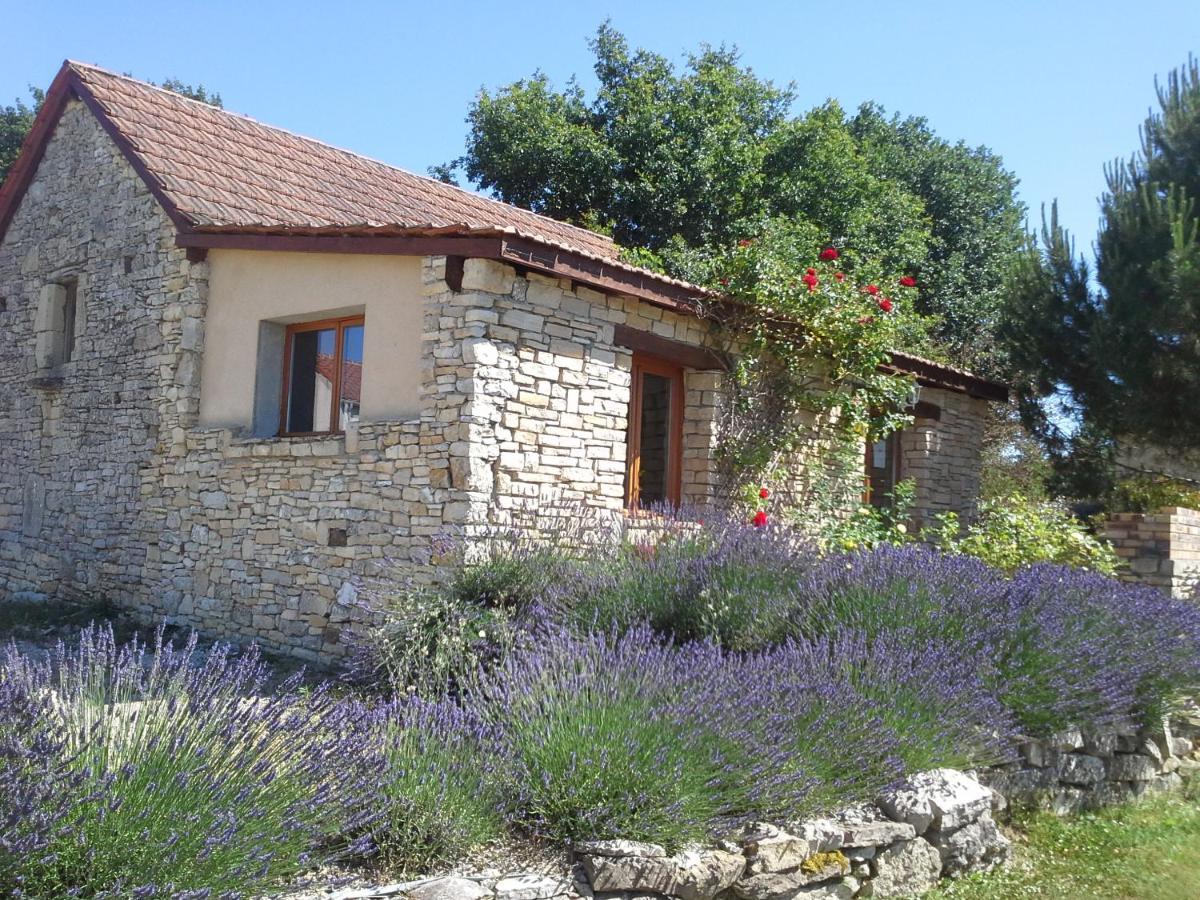 SalviacLe Hameau Des Cardenals别墅 外观 照片
